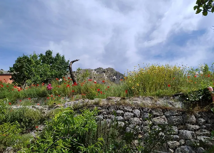 Borgo del Sole