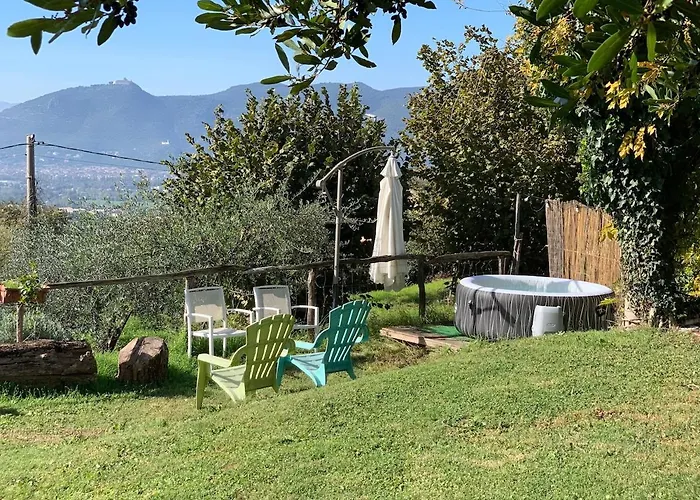 Home Holiday Vincland