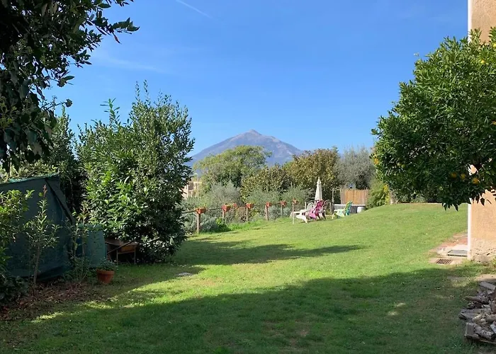 Home Holiday Vincland